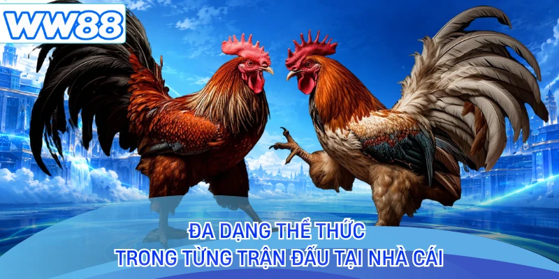 Đa dạng thể thức trong từng trận đấu tại nhà cái