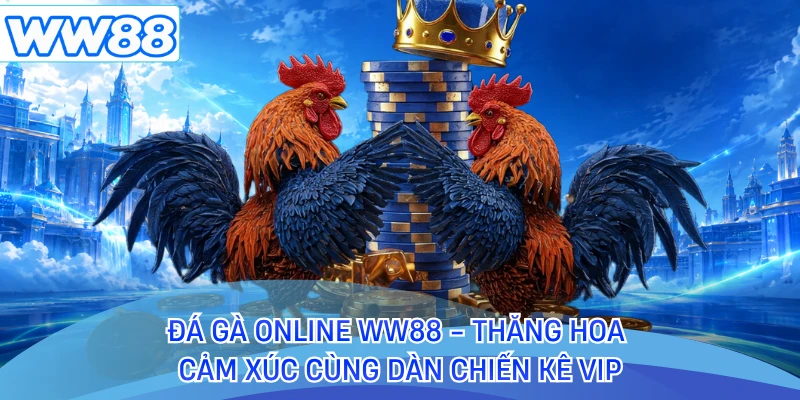 Đá Gà Online WW88 - Thăng Hoa Cảm Xúc Cùng Dàn Chiến Kê Vip