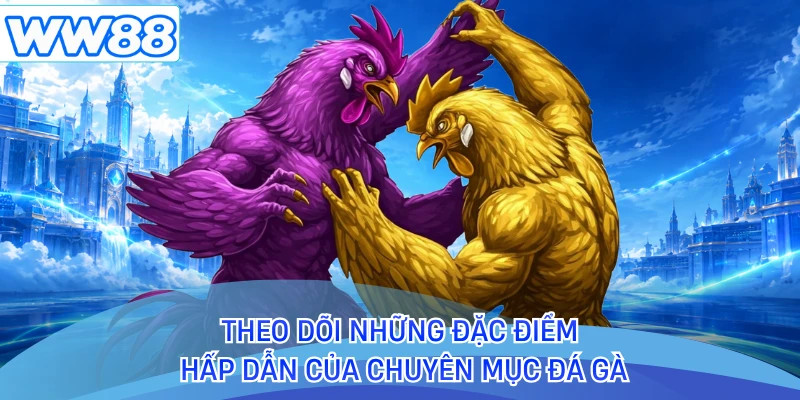 Theo dõi những đặc điểm hấp dẫn của chuyên mục đá gà