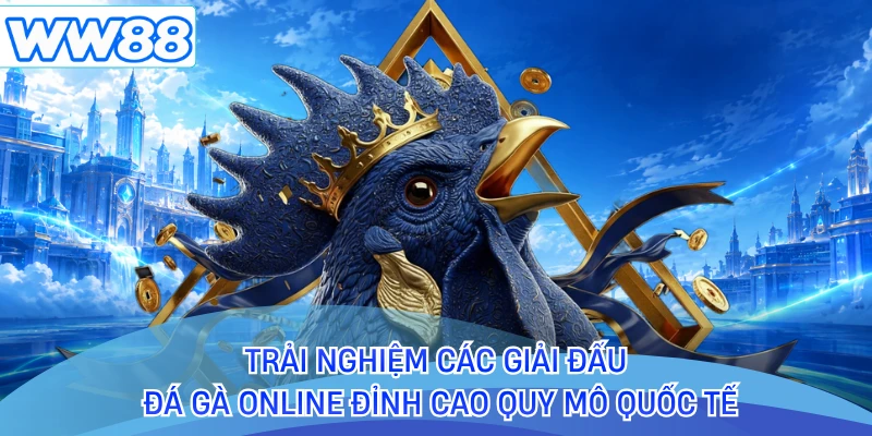 Trải nghiệm các giải đấu đá gà online đỉnh cao quy mô quốc tế